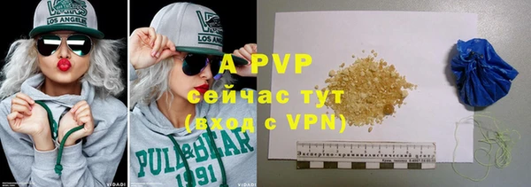 эйфоретик Богданович