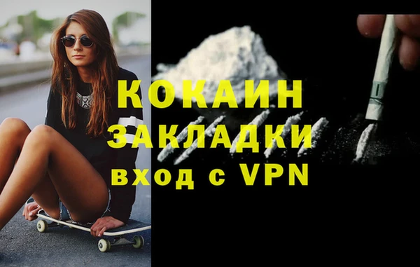 эйфоретик Богданович