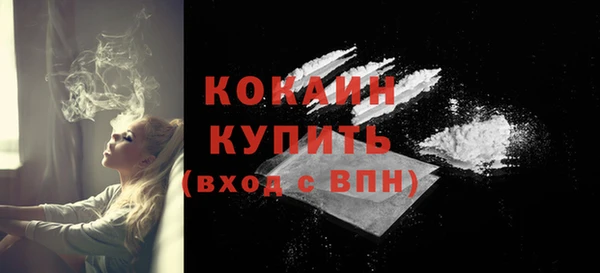 эйфоретик Богданович