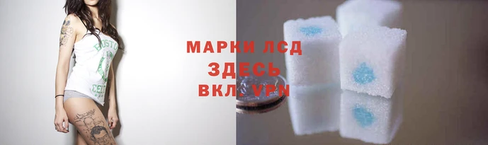 эйфоретик Богданович