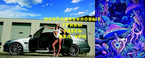 ГАЛЛЮЦИНОГЕННЫЕ ГРИБЫ Богородицк