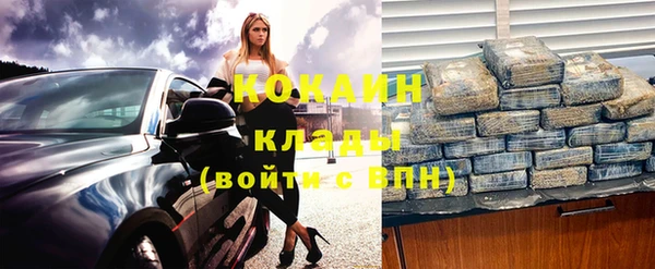 эйфоретик Богданович