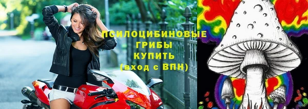 ГАЛЛЮЦИНОГЕННЫЕ ГРИБЫ Богородицк