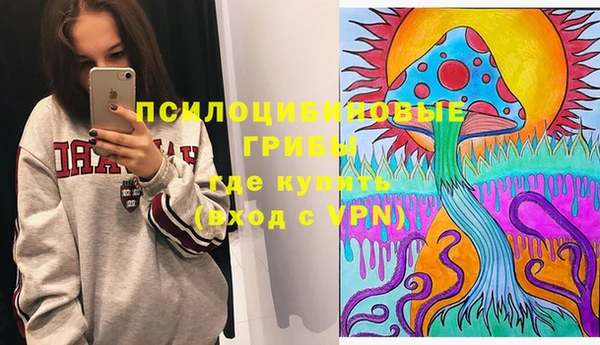 эйфоретик Богданович