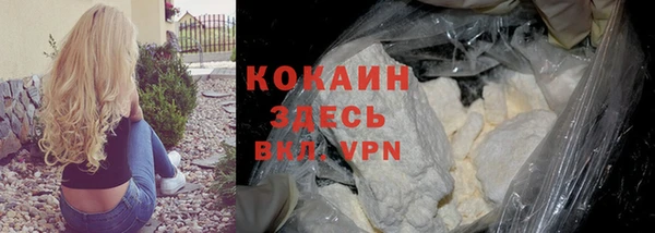 эйфоретик Богданович