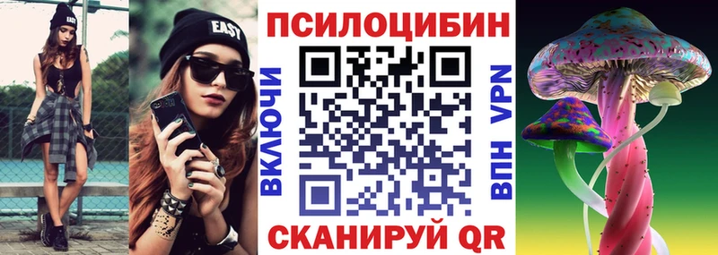 как найти   Шуя  Галлюциногенные грибы мицелий 