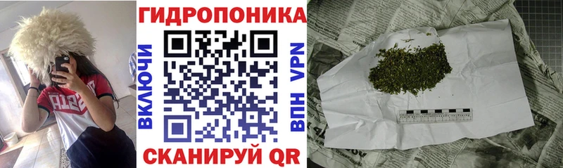 Каннабис план  где продают наркотики  Шуя 
